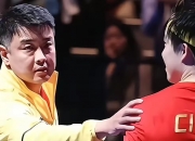 开云官网-日本乒乓球队翻盘法国乒乓球队，王皓绝境逆转的简单介绍