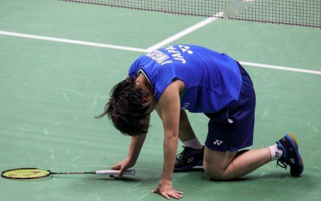 法国队力克德国队，桃田贤斗统治全场的简单介绍