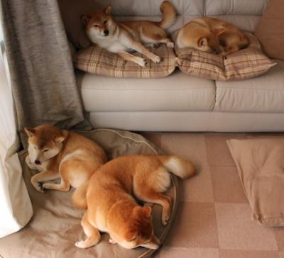 雷霆力克热火,布伦森在季后赛抢七接管比赛